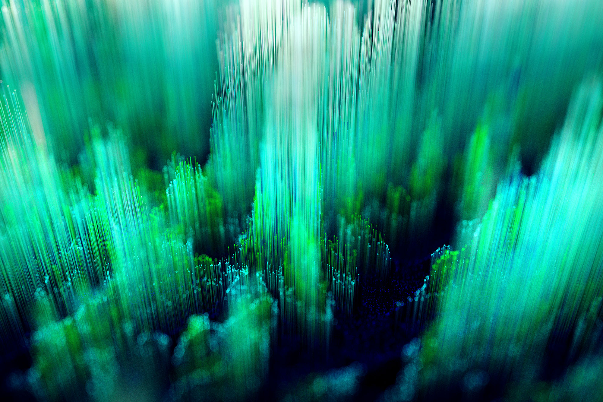 uniorg_dynamic_bild_36